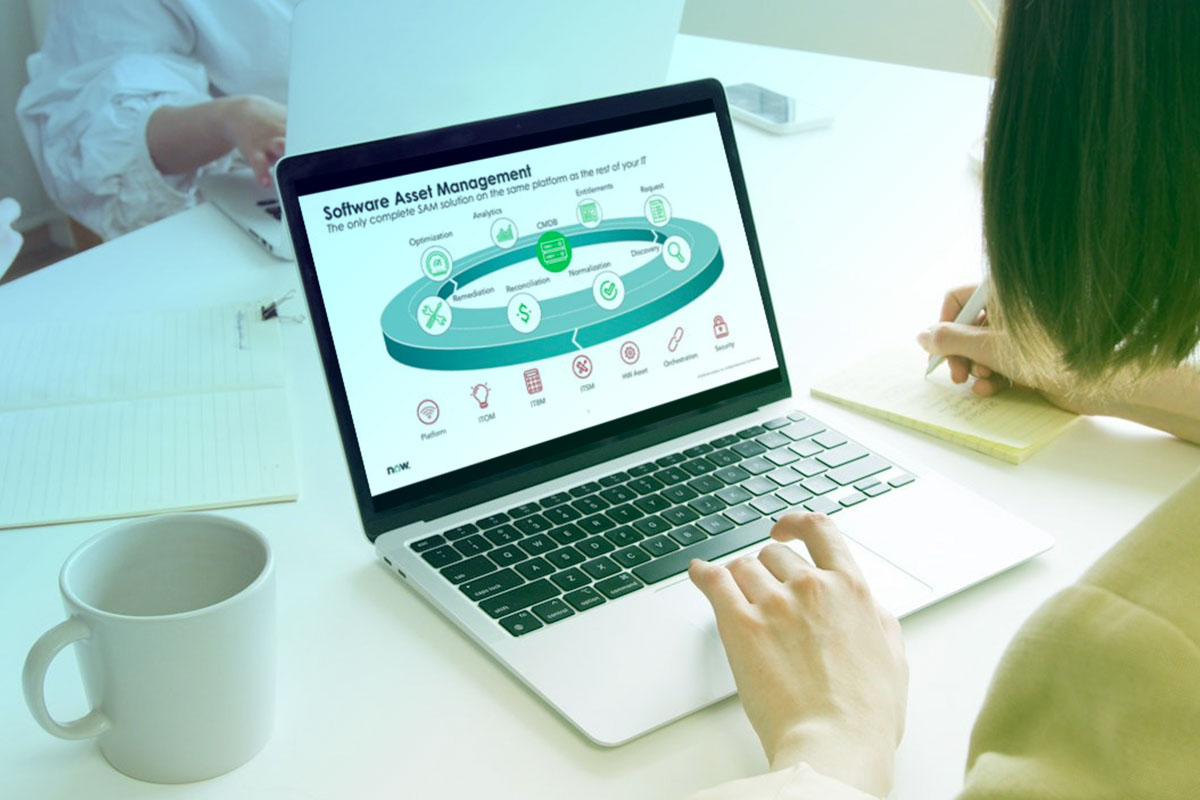 Navigating Tailor IT Asset Management